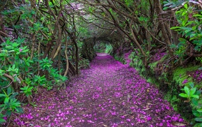 nature