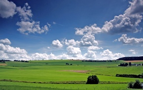 nature