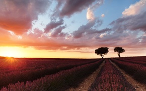 nature
