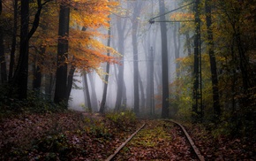 nature