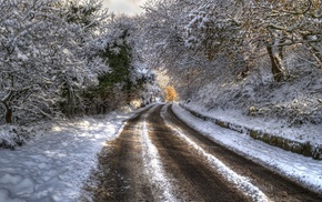 nature, road