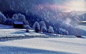 nature