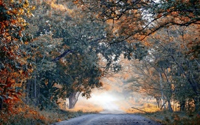 trees, landscape