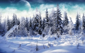 forest