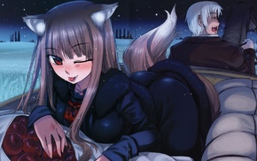 Lawrence Kraft, Spice and Wolf, Holo, anime, anime girls