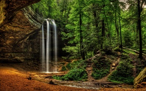 trees, waterfall