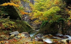 landscape, river