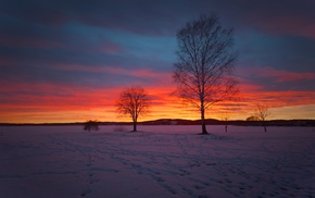 snow, landscape