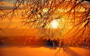 landscape, snow