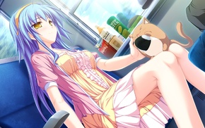 Hiiragi Tsukino, Maikaze no Melt, Where Leads to Feeling Destination, , anime girls, visual novel