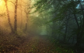 nature