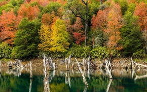 landscape, lake, nature, fall, water, forest