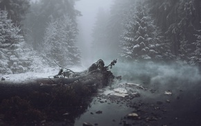mist, trees, winter