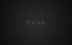 EVGA, graphics card, computer