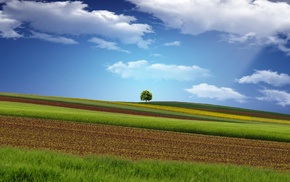 landscape, clouds, nature