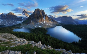 lake, forest