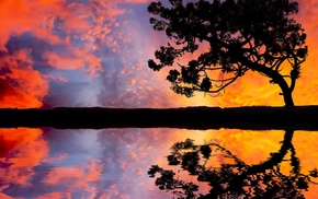 trees, landscape, sky, reflection