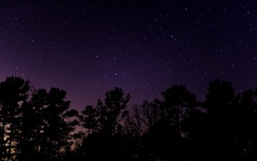 sky, nature, trees, photography, night