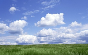 clouds, sky, grass, multiple display