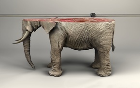 3d object, artwork, simple background, skin, digital art, elephant