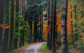 nature, landscape