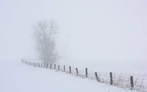 photography, nature