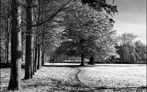 nature, photography