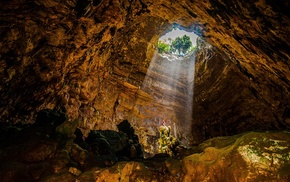 photography, nature