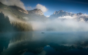 nature, photography