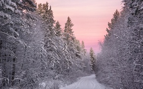 nature, photography