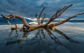 nature, photography