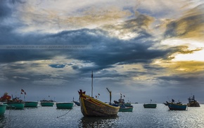 photography, nature