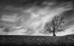 photography, nature