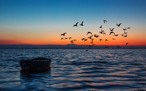 photography, nature