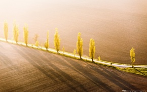 nature, photography