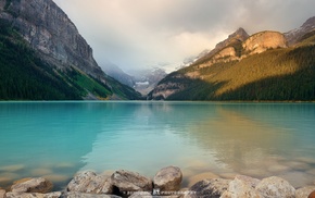 photography, nature