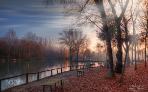 photography, nature