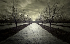 photography, nature