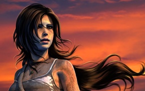 Lara Croft, artwork