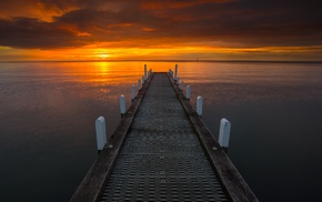 photography, nature