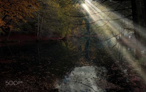 photography, nature
