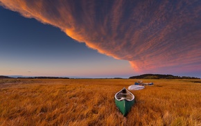 photography, nature