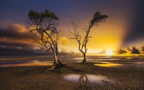 nature, photography