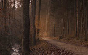 nature, photography