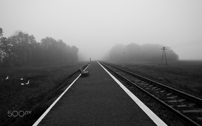 photography, nature