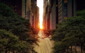 road, sunset, urban, cityscape, trees, landscape