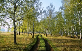 road, nature