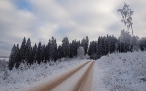 road, winter, trees, nature