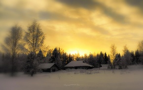 winter, snow, photography, nature