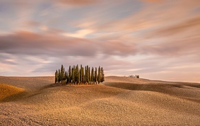 nature, photography